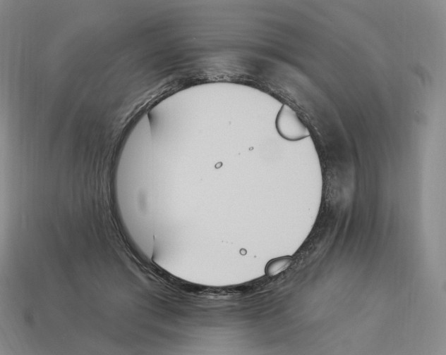 X0000114240405200911061552