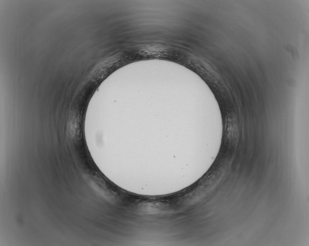 X0000114240408200911061552