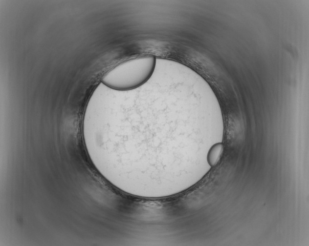 X0000114240409200911061552