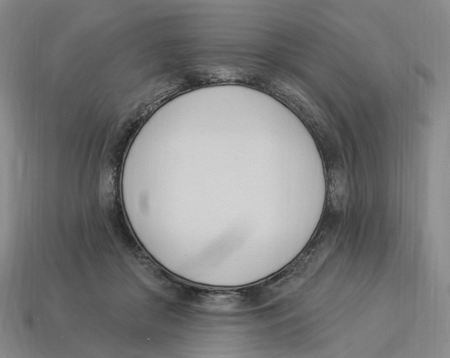 X0000114240410200911061552