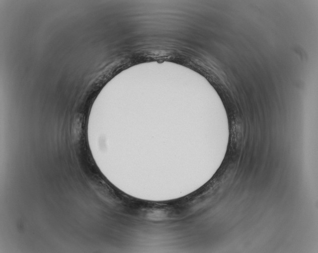 X0000114240412200911061552