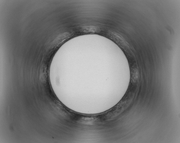 X0000114240414200911061552