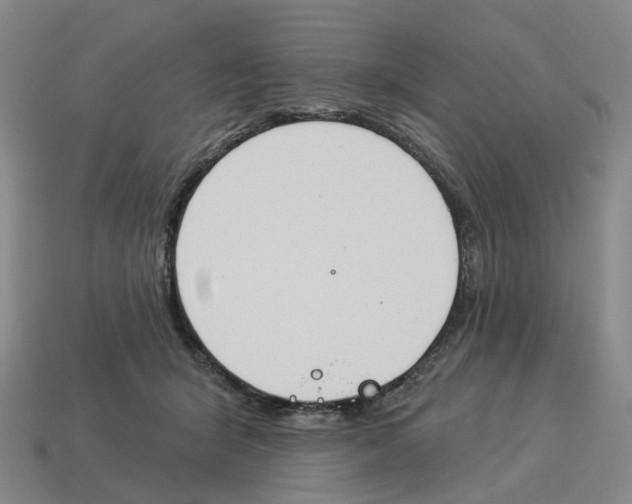 X0000114240415200911061552