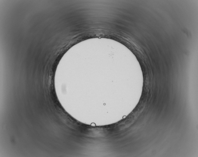 X0000114240417200911061552