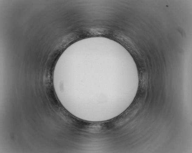 X0000114240418200911061552