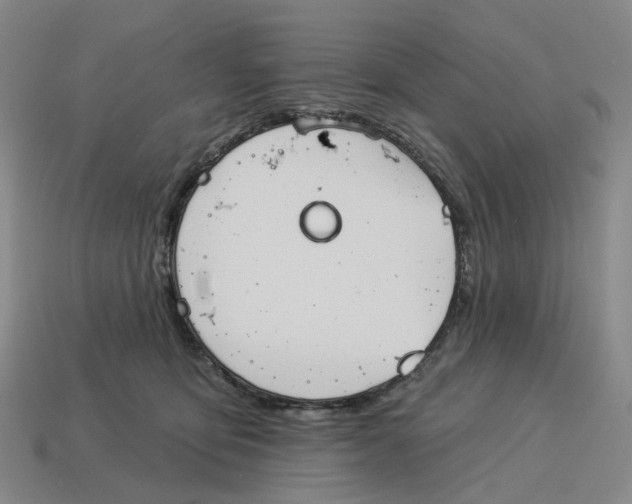 X0000114240419200911061552