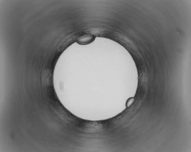 X0000114240421200911061552