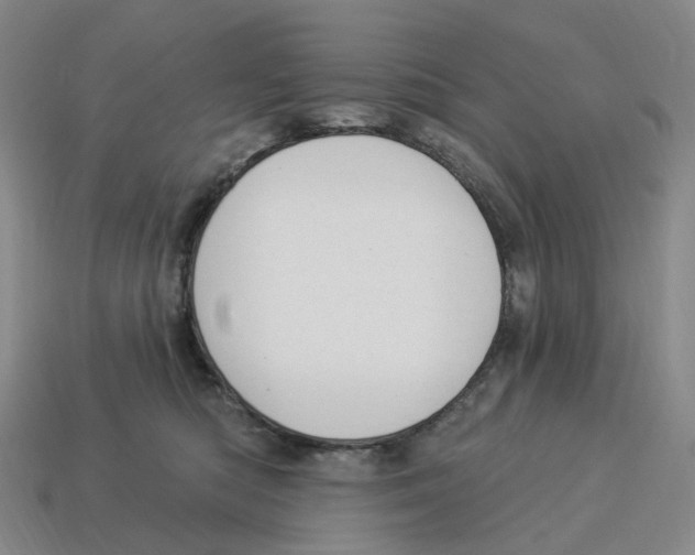 X0000114240422200911061552