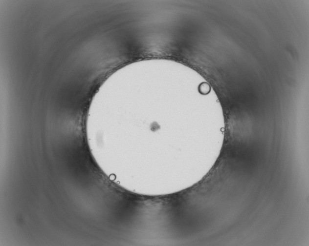 X0000114240423200911061552