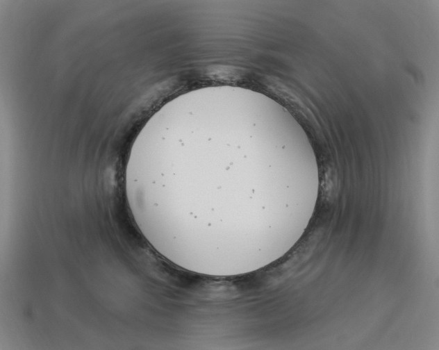 X0000114240424200911061552