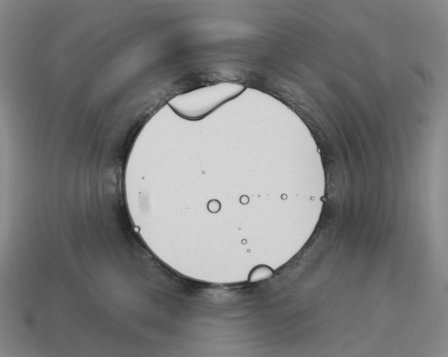 X0000114240425200911061552