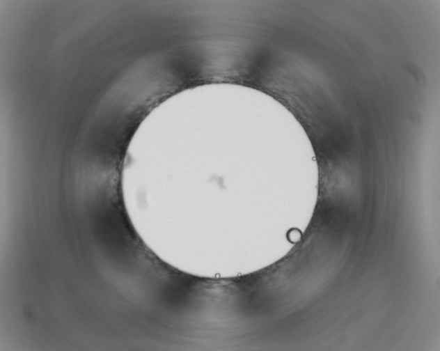 X0000114240427200911061552