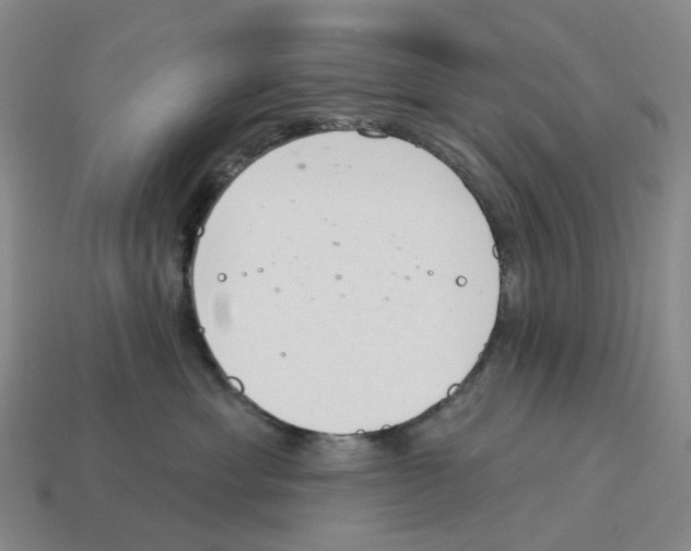 X0000114240429200911061552