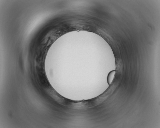 X0000114240430200911061552