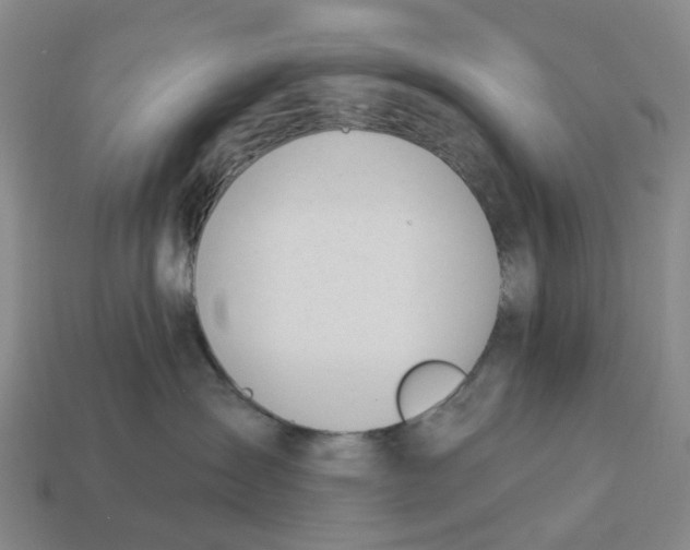 X0000114240431200911061552