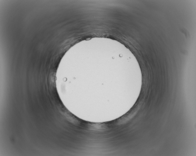 X0000114240432200911061552