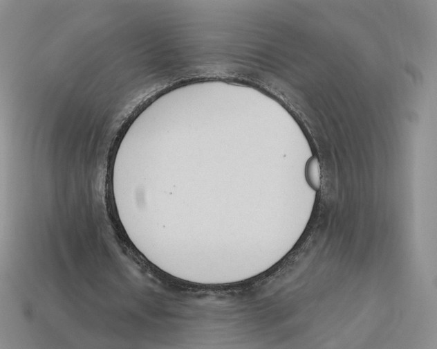 X0000114240434200911061551