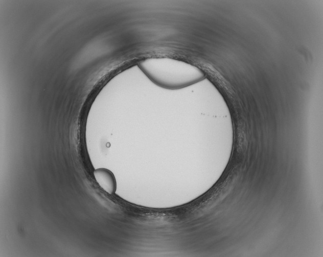 X0000114240439200911061551