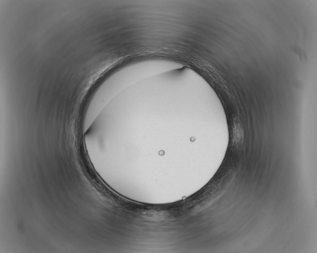 X0000114240444200911061551