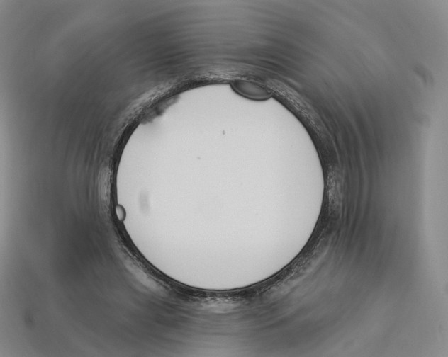 X0000114240445200911061551