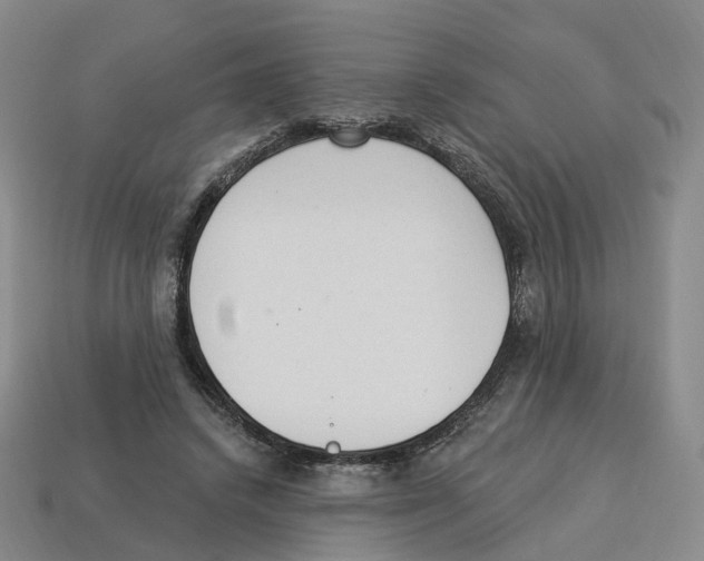 X0000114240448200911061551