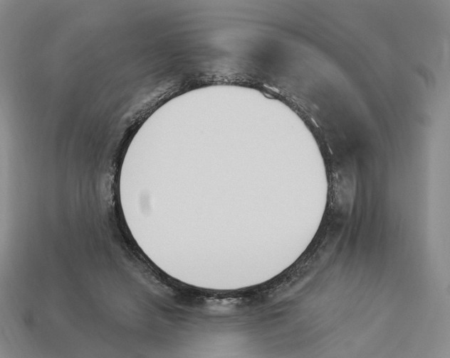 X0000114240450200911061551