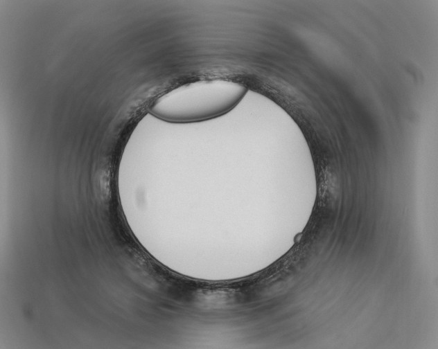 X0000114240452200911061551