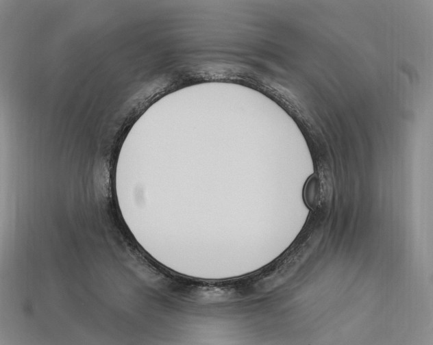 X0000114240453200911061551