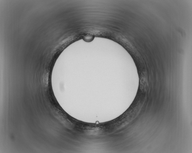 X0000114240454200911061551