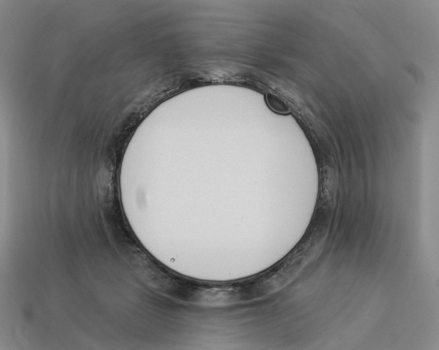 X0000114240461200911061551