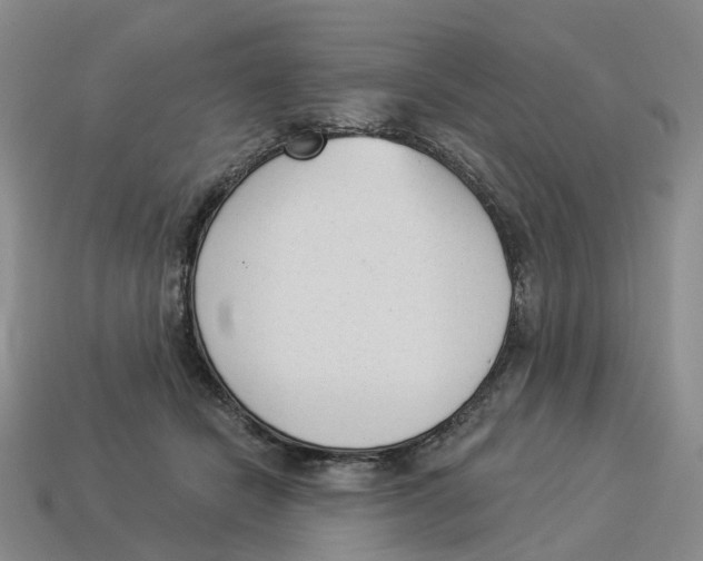 X0000114240462200911061551