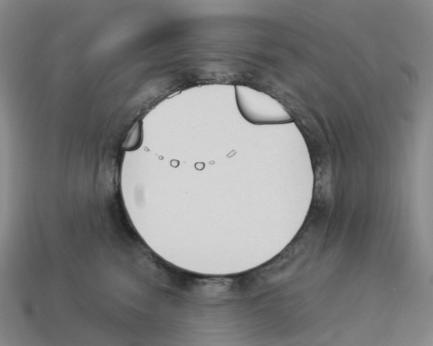 X0000114240474200911061551