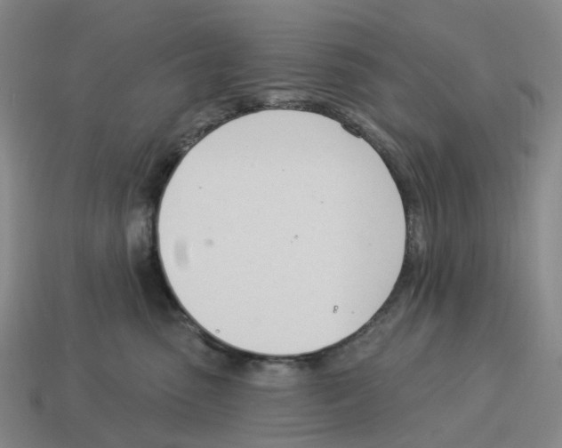 X0000114240475200911061552