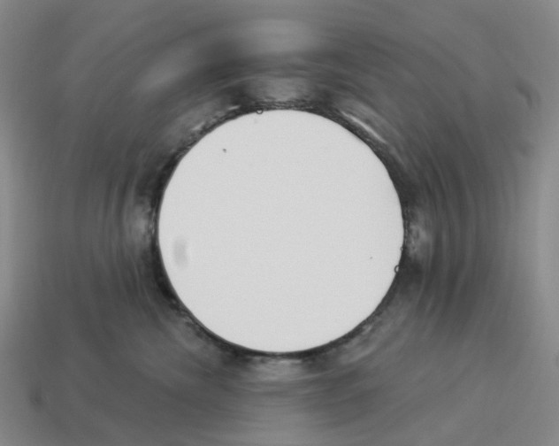 X0000114240476200911061552