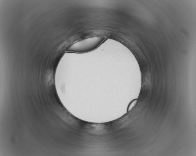 X0000114240478200911061552