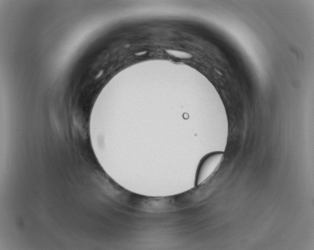 X0000114240479200911061552