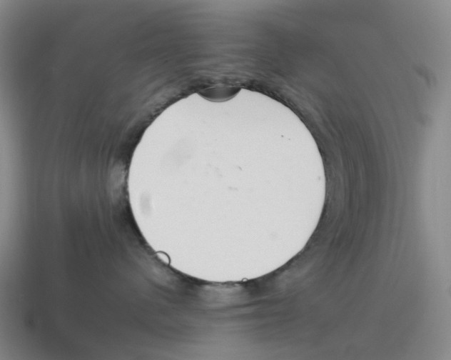 X0000114240480200911061552