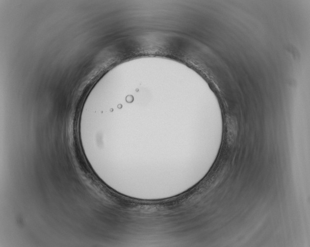 X0000114240482200911061551