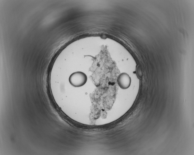 X0000114240485200911061551