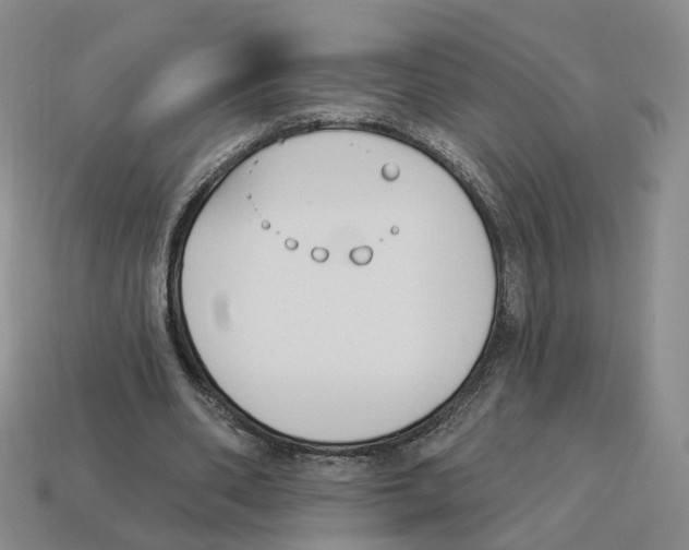 X0000114240486200911061551
