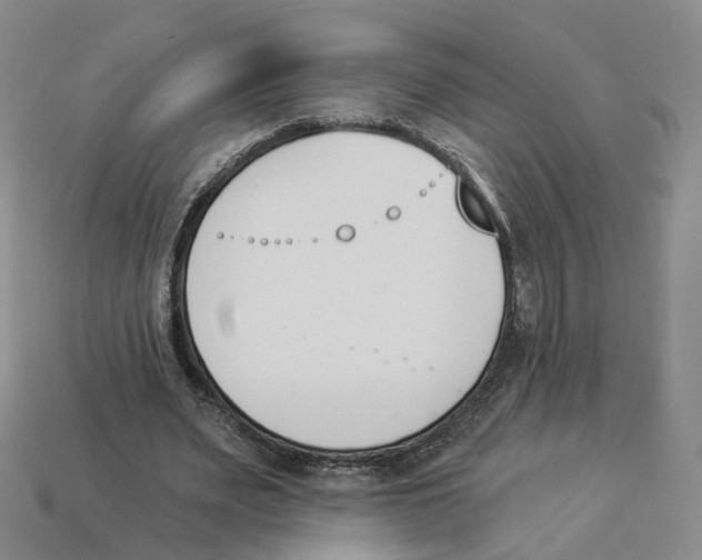 X0000114240487200911061551