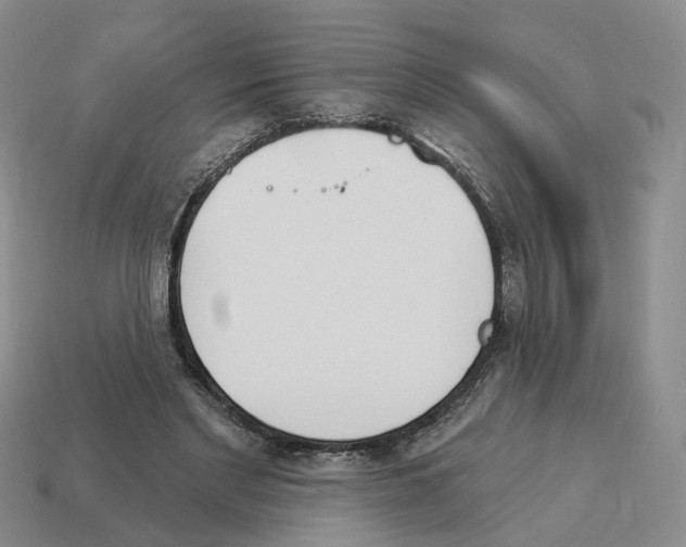 X0000114240493200911061551