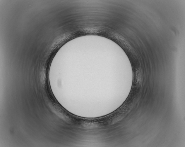 X0000114240494200911061551