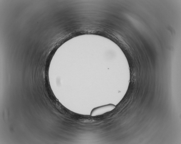 X0000114240500200911061551