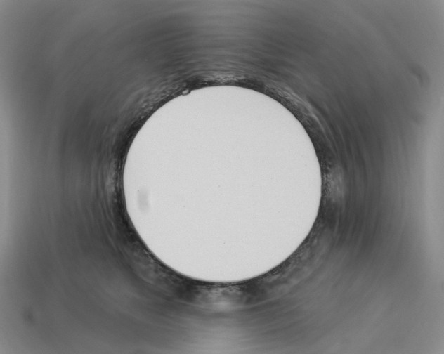 X0000114240517200911061551