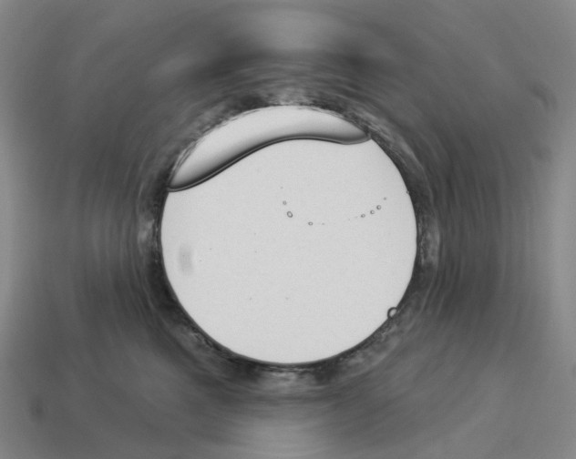 X0000114240521200911061550
