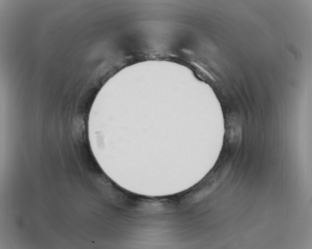 X0000114240523200911061550