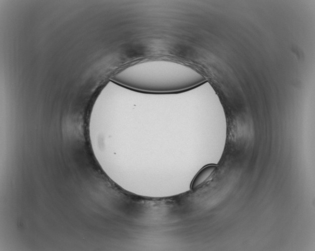 X0000114240524200911061550