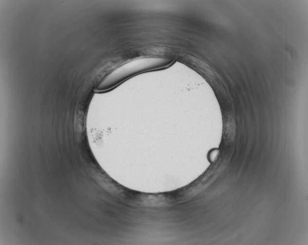 X0000114240525200911061550