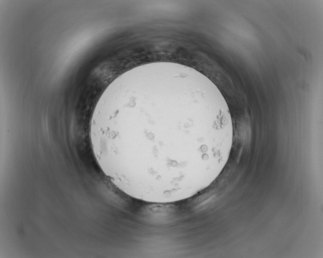 X0000114240526200911061550
